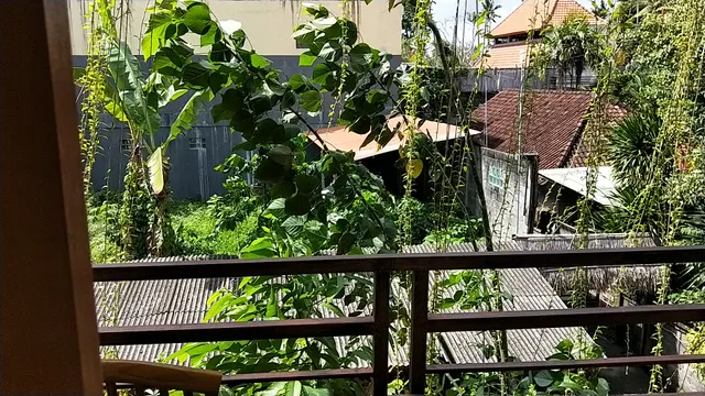 Pondok Sunari Guest House-painter