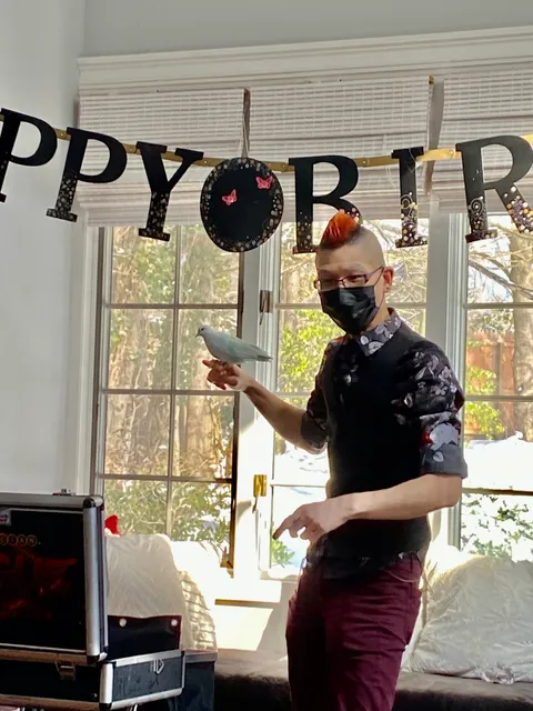 Rogue the Magician/Mentalist