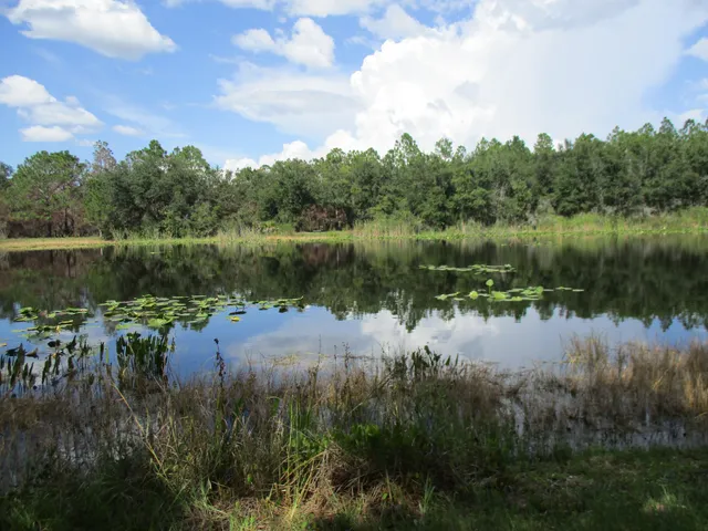 North Walk-in-Water Creek