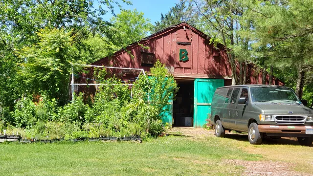 biophilia organic market