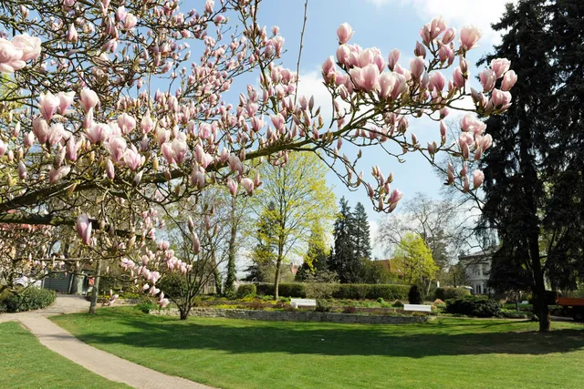 Sutter Ferienimmobilien