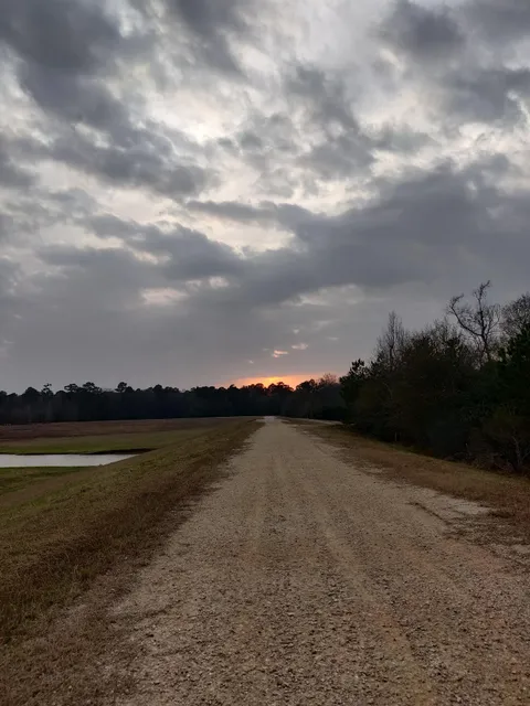 Greens Bayou Wetlands Mitigation Bank
