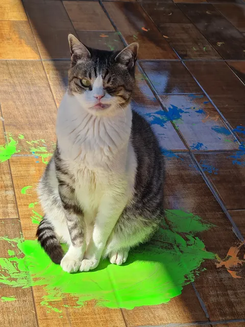 犬の美容室 ツインハート