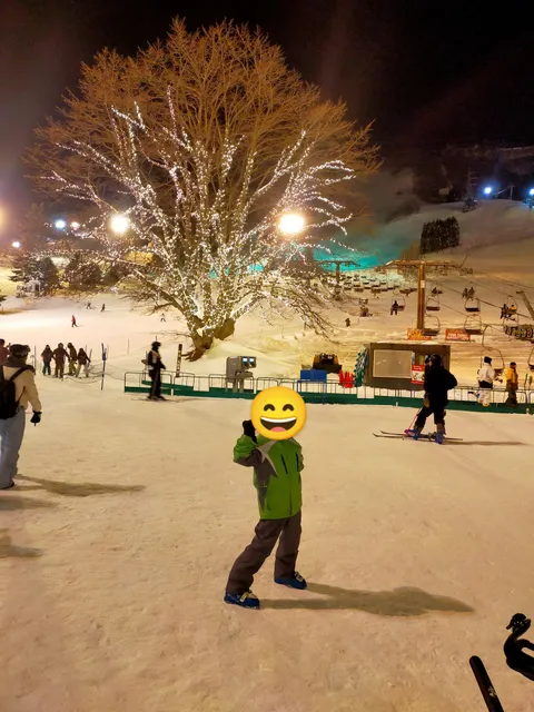 European style inn Taian