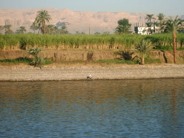 River Nile