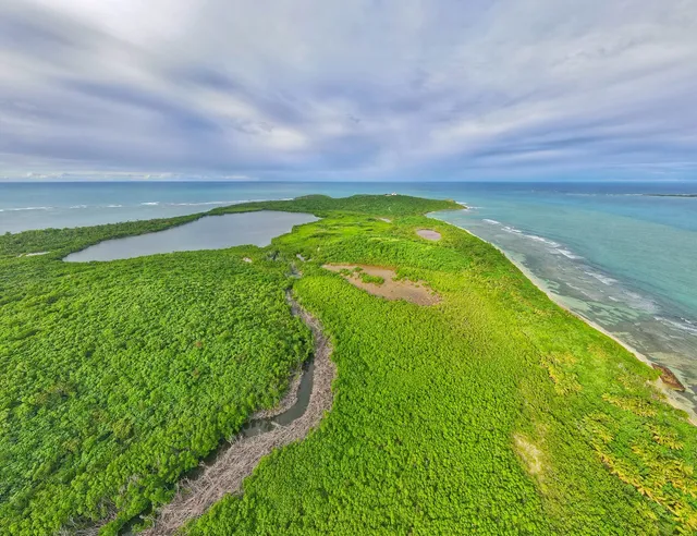 PUERTO RICO ACCESS TOURS