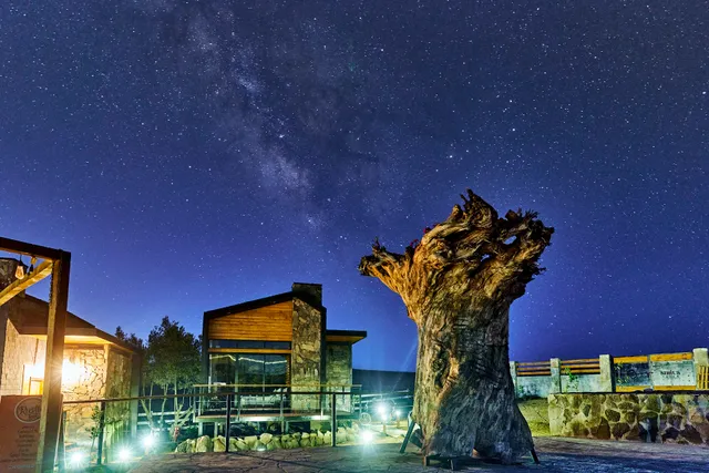 Hotel Boutique Sirius Valle