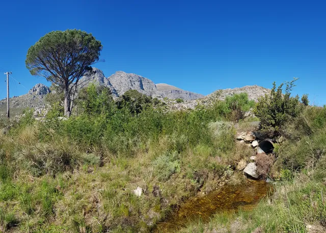 Bainskloof pass - No trucks higher than 3,68m