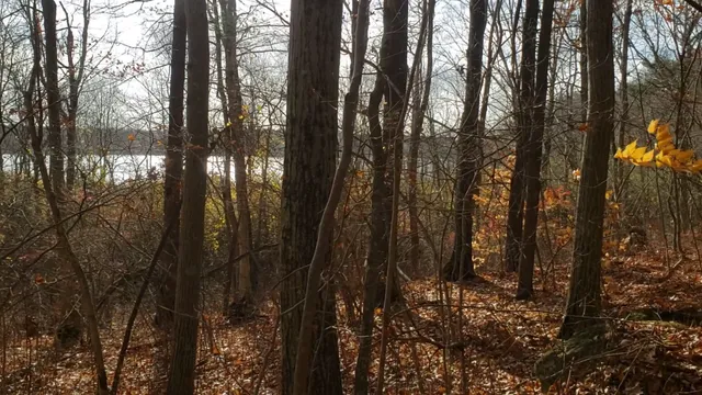 Ponkapoag Trail Parking