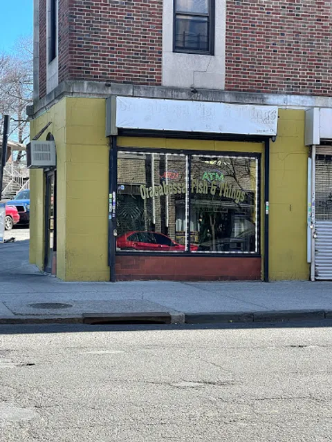 Oracabessa Fish & Things