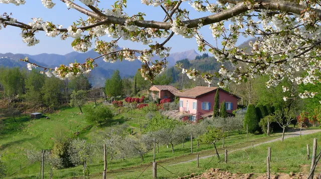 Col di Lavacchio Agriturismo