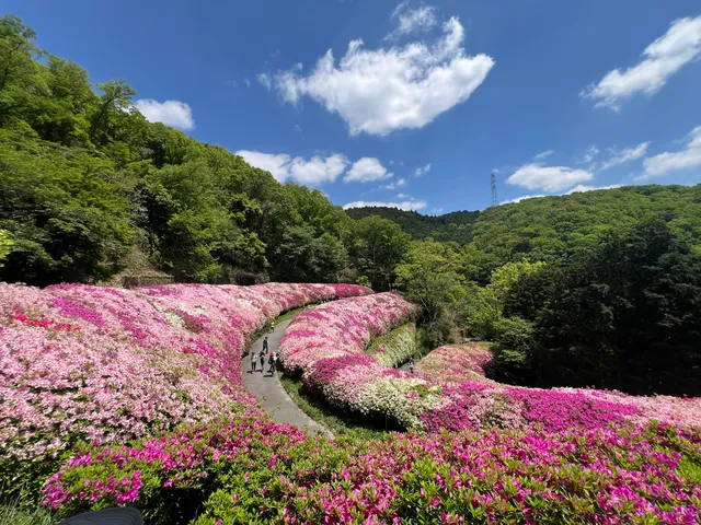 Fumin no mori Narukawa enchi