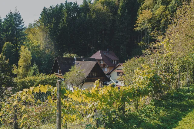 Huberhof Gengenbach - Fußbach