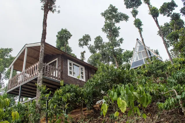 Pravat Plantation Stay