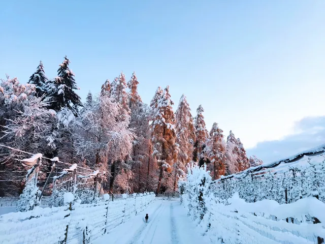 Vacation Rental Tuniswald