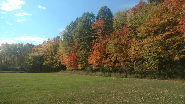 Westfield Center Village Park