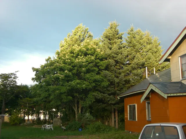 民泊ダラムサラー