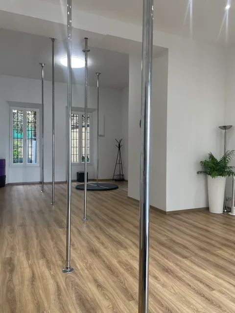 Pole Dance Cannes