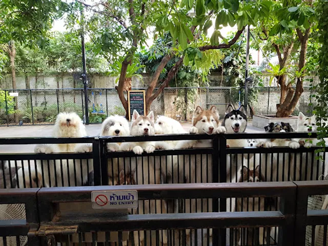 TrueLove @ Neverland (Husky Cafe)