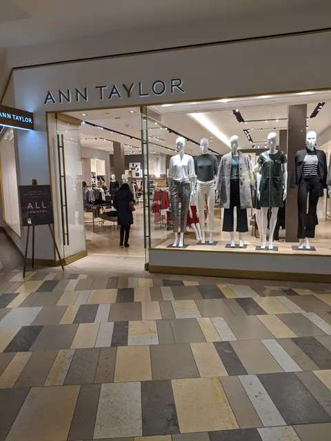 Ann Taylor