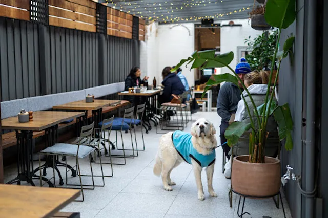 Porgies Cafe Hawthorn