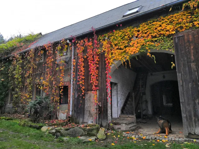 EkoTurystyka Nowina Katarzyna Trawińska