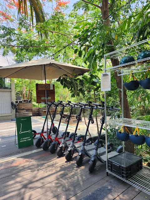 Hiddenwoods cafe / e-scooter rental shop