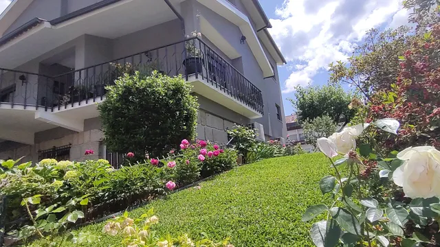 Graciosa Guest House