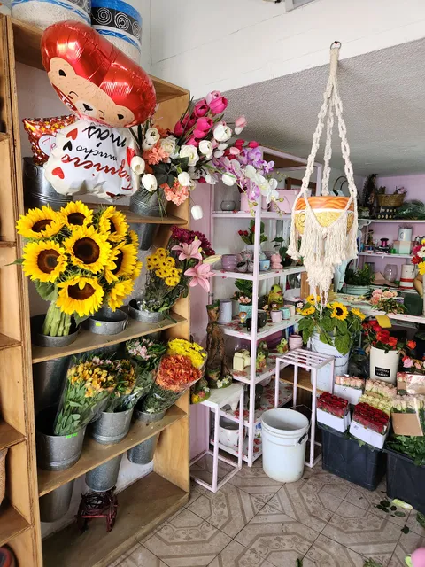 Las Delicias , Comedor Familiar