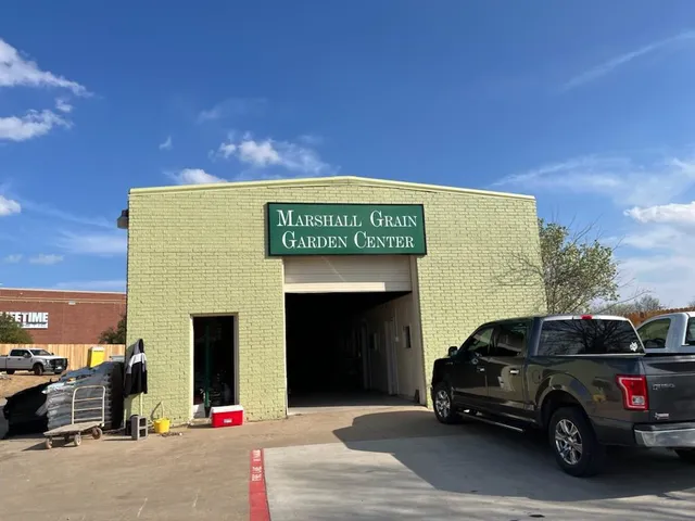 Marshall Grain Company