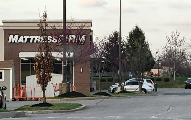 Mattress Firm Westport Road