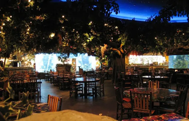 Rainforest Cafe