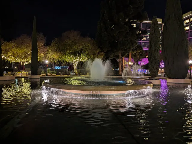 Stanford Medical Center