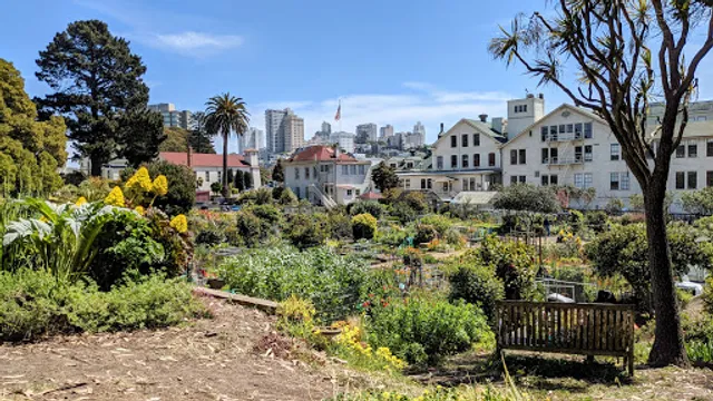 Fort Mason Community Garden