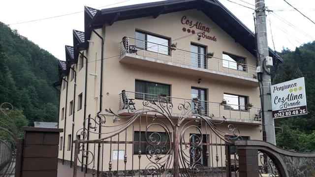 Pensiunea Cosalina Grande***