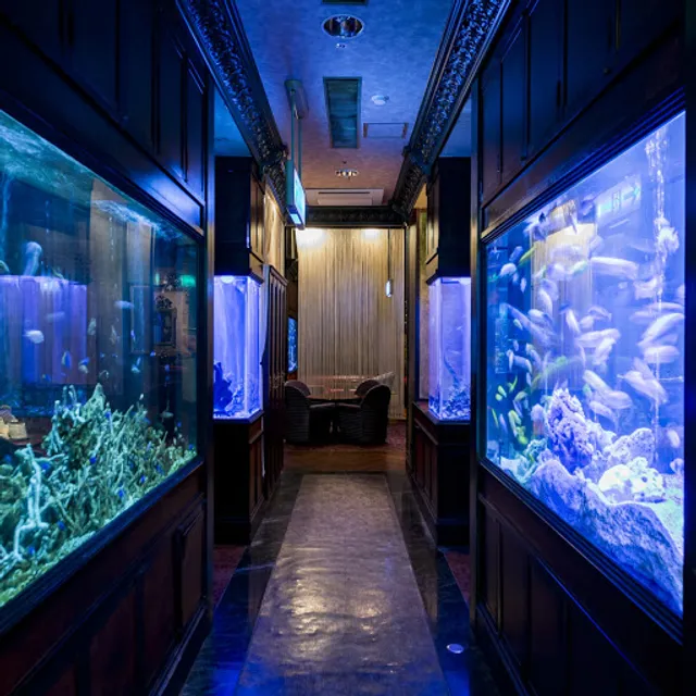 Suntory Bar & Dining Kitashinchi Suikyotei