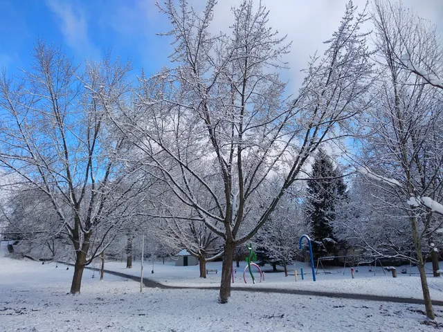 Cassels Avenue Playground
