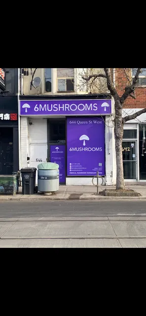 6 Mushrooms Toronto - Magic Mushroom Dispensary