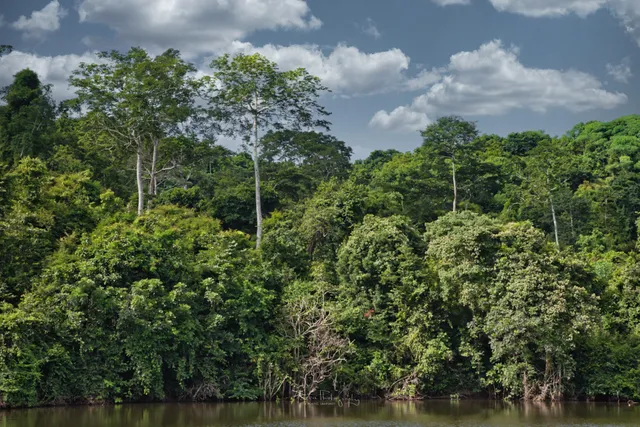 Pugu Hills Forest Reserve.