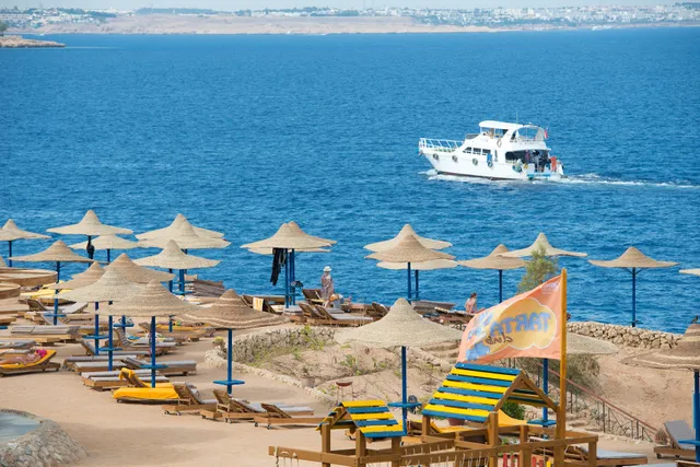 Amphoras Blu Ultra-AI Adults Friendly