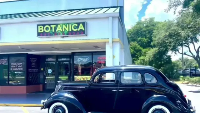 The Root House Botanica & Reading