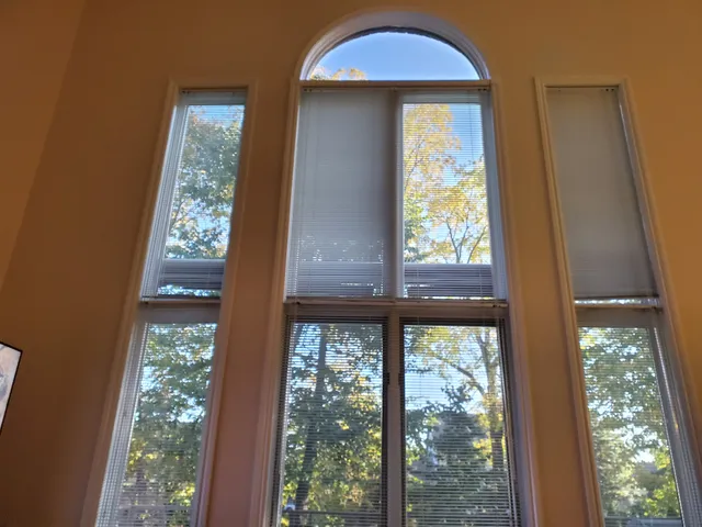 Michigan Tint Solutions