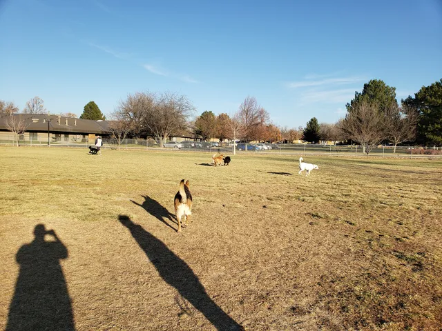 Dog Park