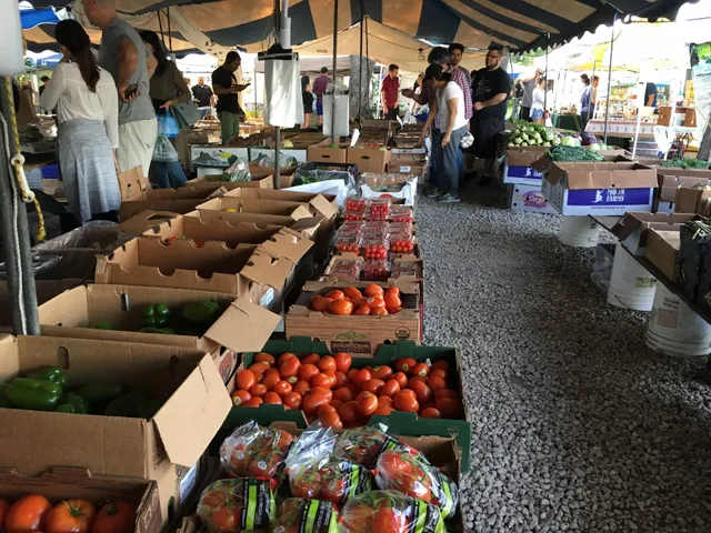 Coconut Grove Farmer's Market