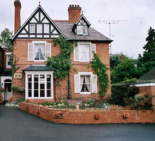 Squirrels Llangollen