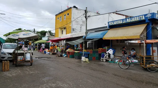 Tianguis de la 95