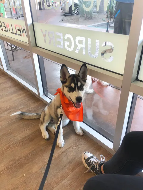 Center Veterinary Clinic and Urgent Care