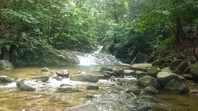 Gunung Berembun Trailhead