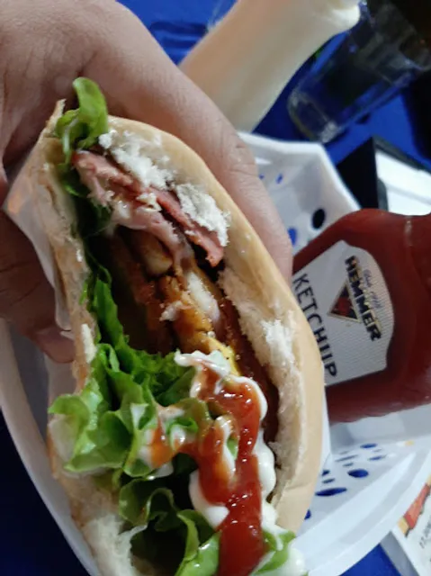 Dom Olavo Hamburgueria | Hamburguer Assado na Brasa | Bairro Tiradentes