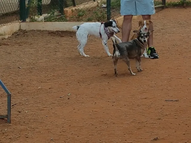 Parcão Chácara Klabin